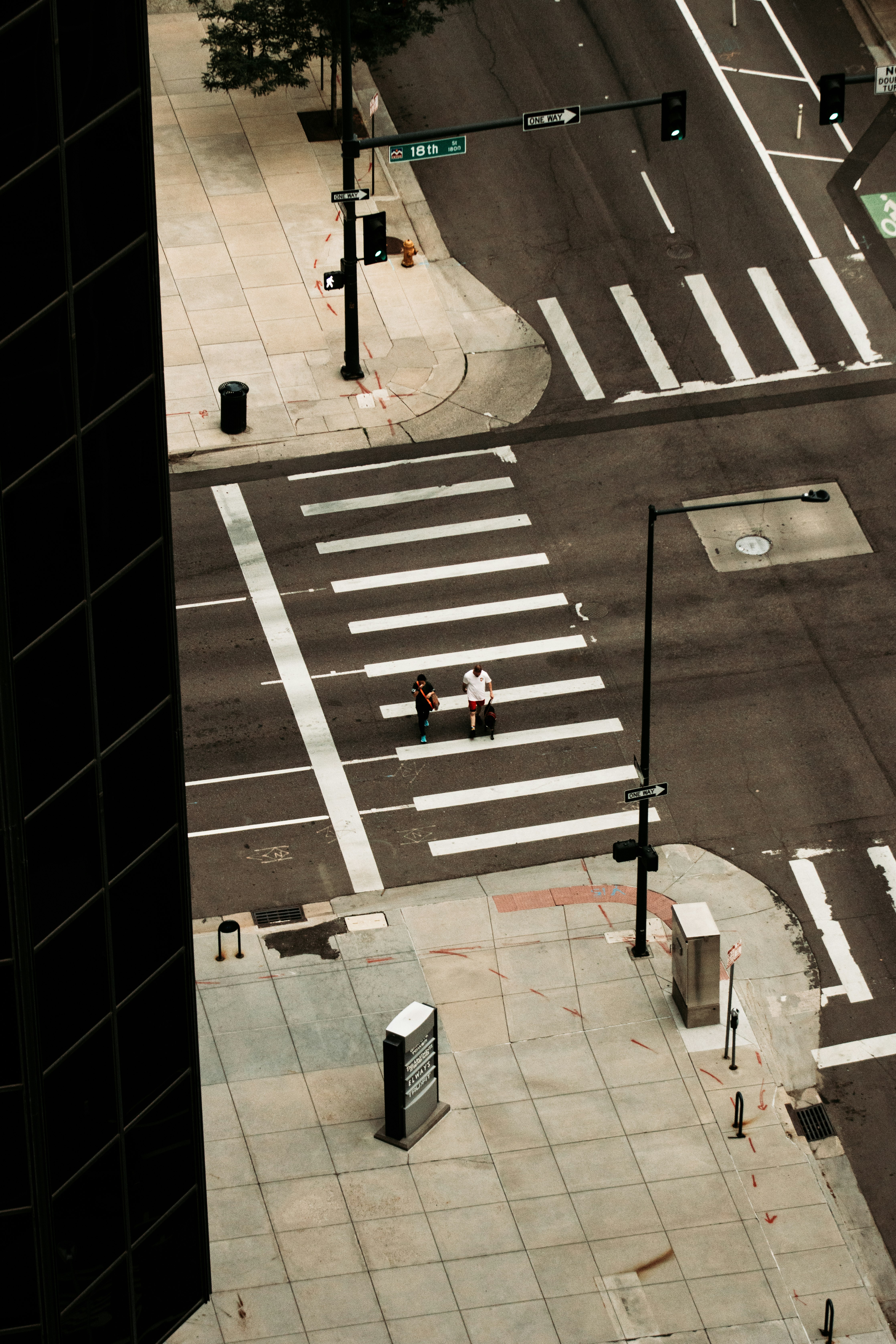 people walking on pedestrian lane during daytime